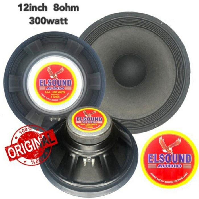 SPEAKER ELSOUND 12 INCH FULL RANGE AUDIO SOUND ELSOUND ORIGINAL