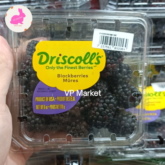 

Driscoll's Blackberries USA 170g | Driscolls Blackberry Mures | Pack
