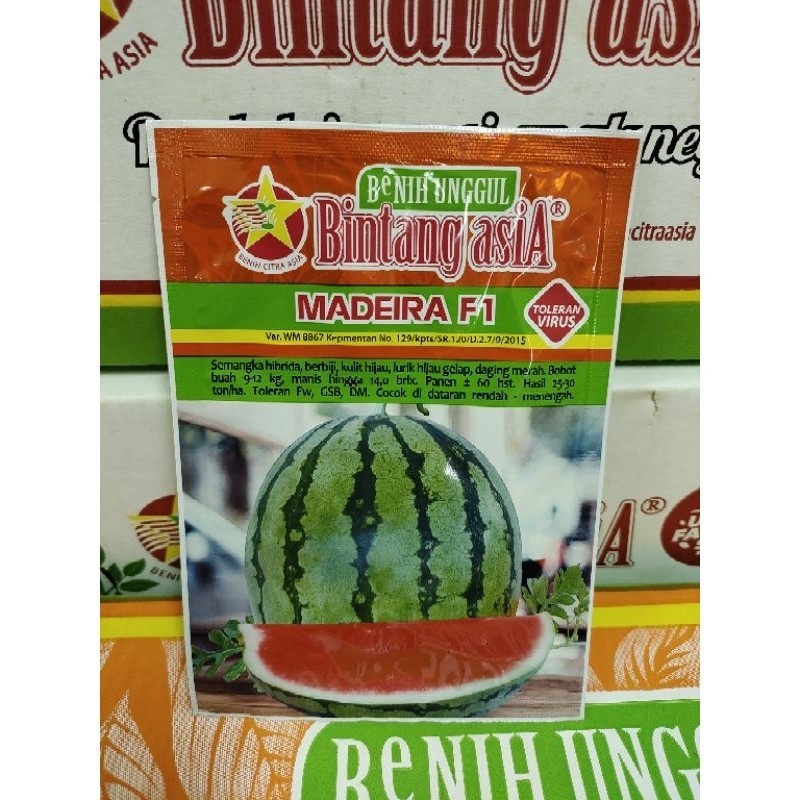 Benih Semangka Merah Lorek Berbiji | MADEIRA F1 20 gram
