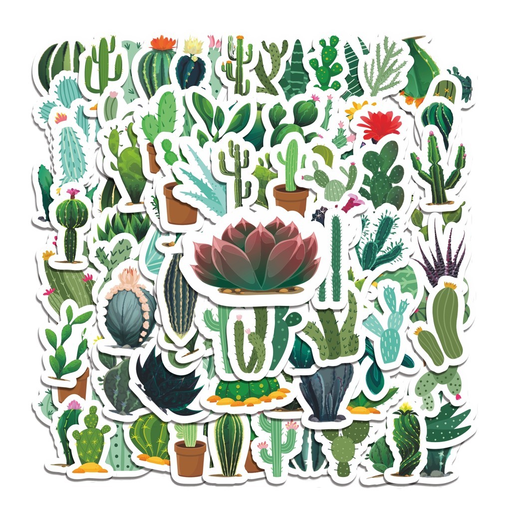 

COD 50 Pcs Stiker Tanaman Kaktus Hijau Lucu Anti Air Untuk Dekorasi Notebook Sepeda Skateboard Handphone