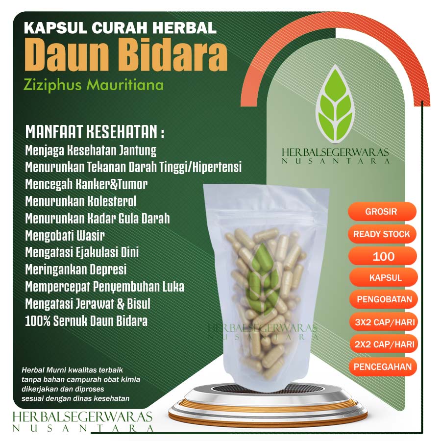 DAUN BIDARA 100 Kapsul Curah Herbal Ambeien Ejakulasi D1ni Depresi DNA