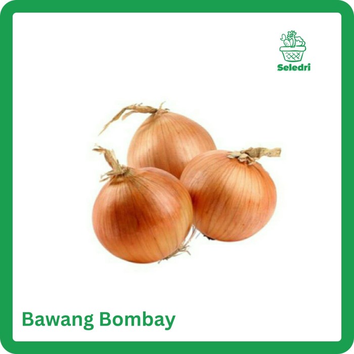 

bawang bombay 50/60