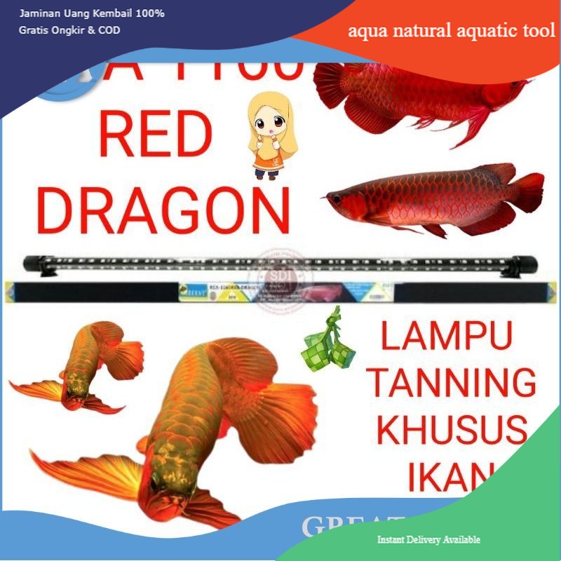 lampu tanning aquarium lampu khusus ikan arwana RCA 1160 RED DRAGON RECENT