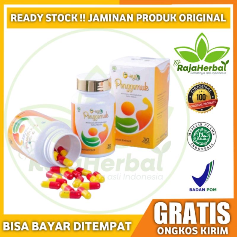 O-Ayu Penggemuk Badan - O Ayu Asli 100% Original Suplemen Penambah Berat Badan Hasil Ampuh