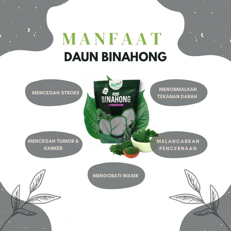 

COD Daun Binahong | Teh Celup Daun Binahong Murni Asslami | Antiseptik kemasan pouch Mempercepat penyembuhan luka, Sebagai antiseptik alami Herbal Alami