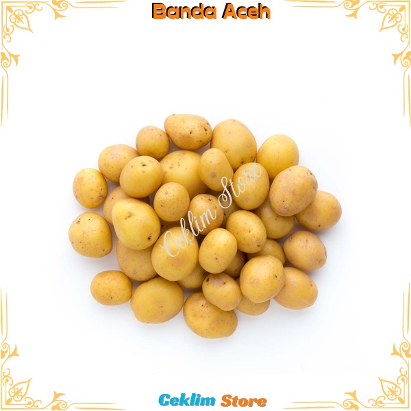 

KENTANG Kecil / Baby Kentang