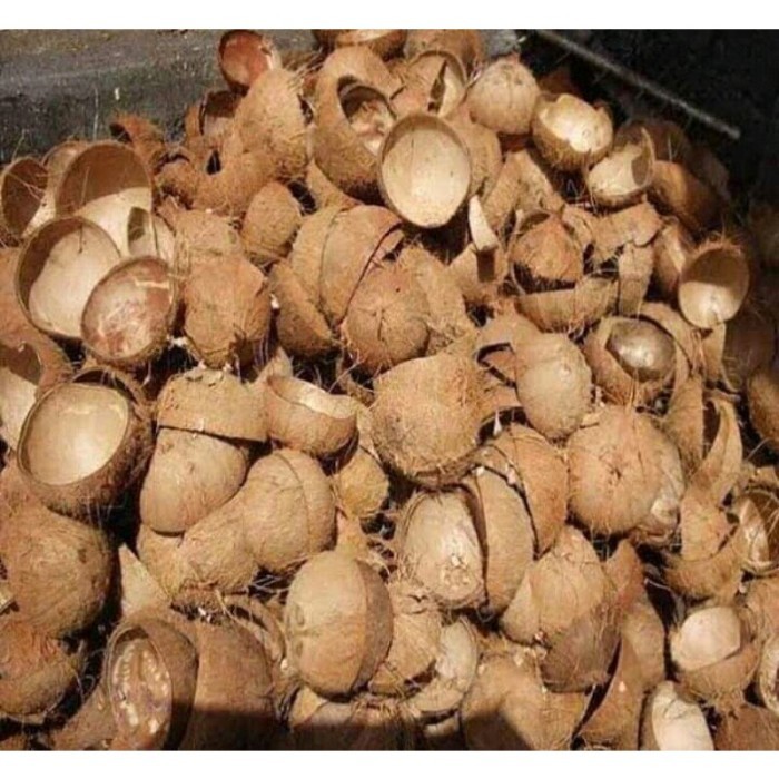 

Jual Tempurung Kelapa Atau Batok kelapa Untuk Bakar ikan 1kg