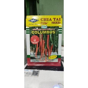 Cabe Besar Columbus F1 Cabe Hibrida Tahan Virus Original Pabrik