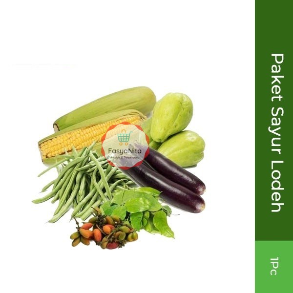 

Paket Sayur Lodeh 1Pcs - FasyAnita Mart Denpasar