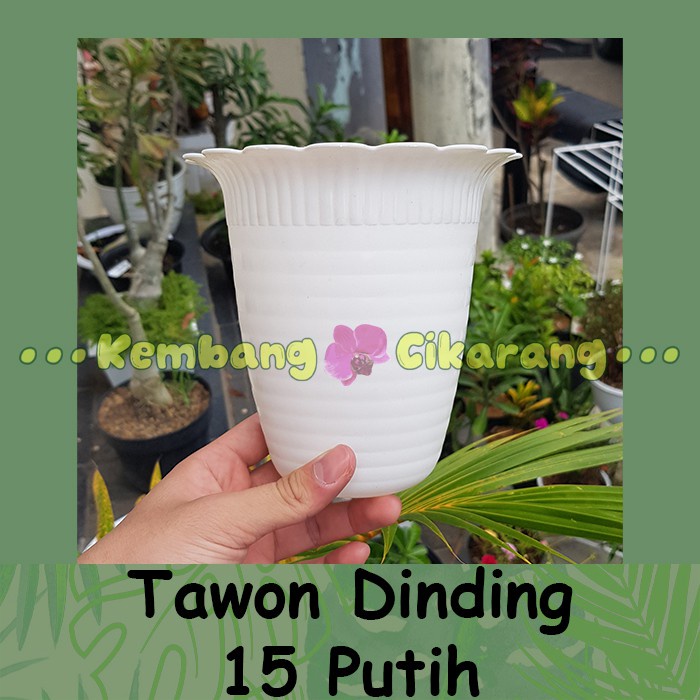 (1pc) DINDING TAWON 15 (15cm) PUTIH : Pot bunga tempel Pot dinding kecil tanpa lubang