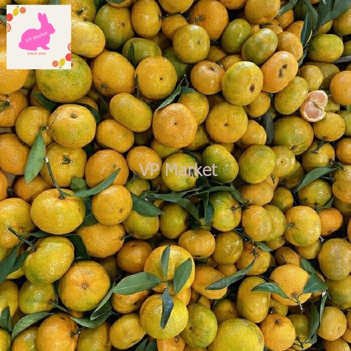 

Jeruk Shantang Atumn Fresh 1 Kg