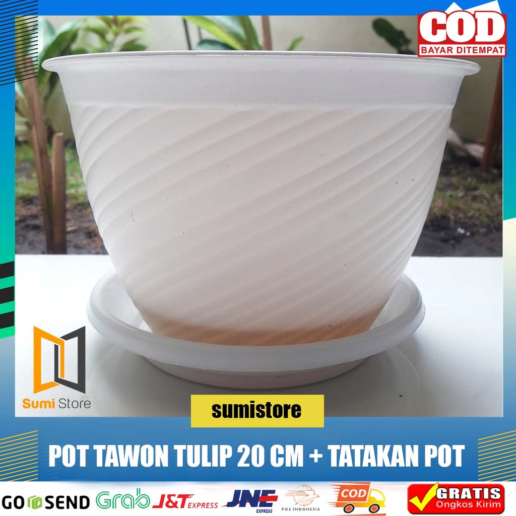 Pot Tawon 20 CM Pot Tulip 20 PUTIH SALJU + TATAKAN POT/ pot bunga tanaman putih 20cm+tatakan set