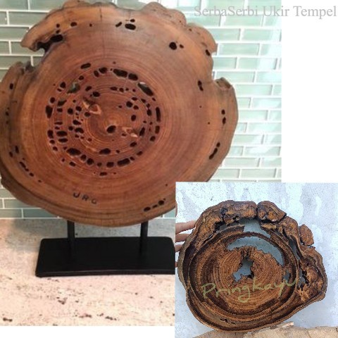 Wood slice/potongan kayu jati erosi D 37x 2 cm Termurah