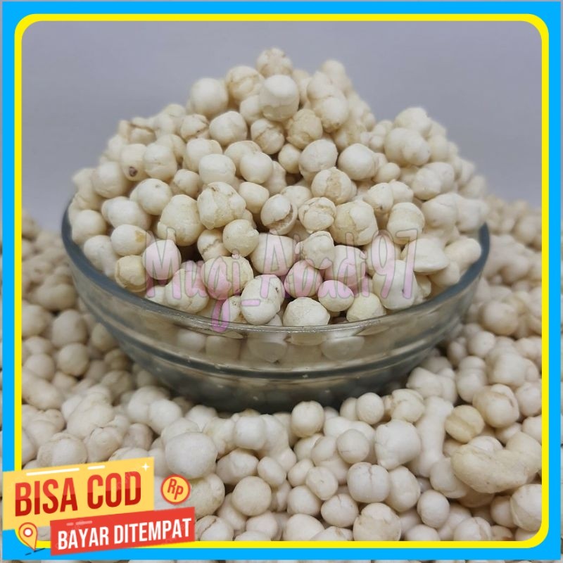 

1kg pilus kencur premium