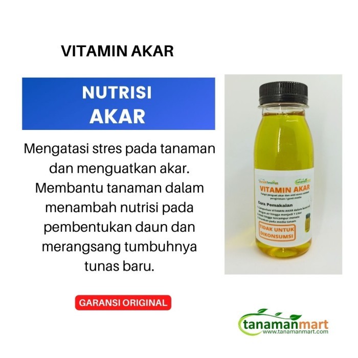 Vitamin Tanaman