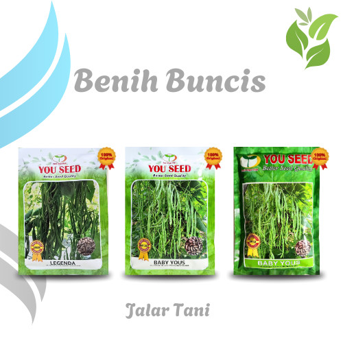 Benih Unggulan Buncis Baby Yous & Legenda Bibit 100 / 500 gram You Seed