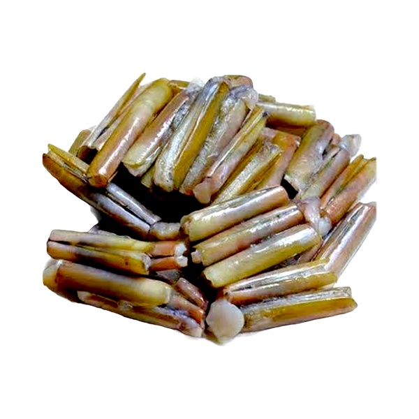 

kerang bambu 500 gram