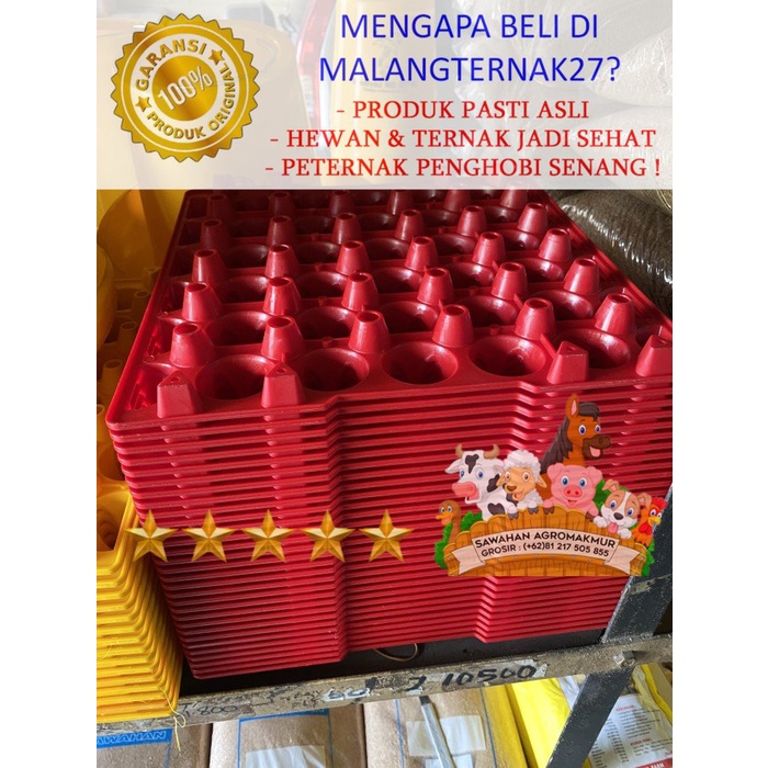 egg tray kecil medion keranjang rak telur plastik ayam kampung