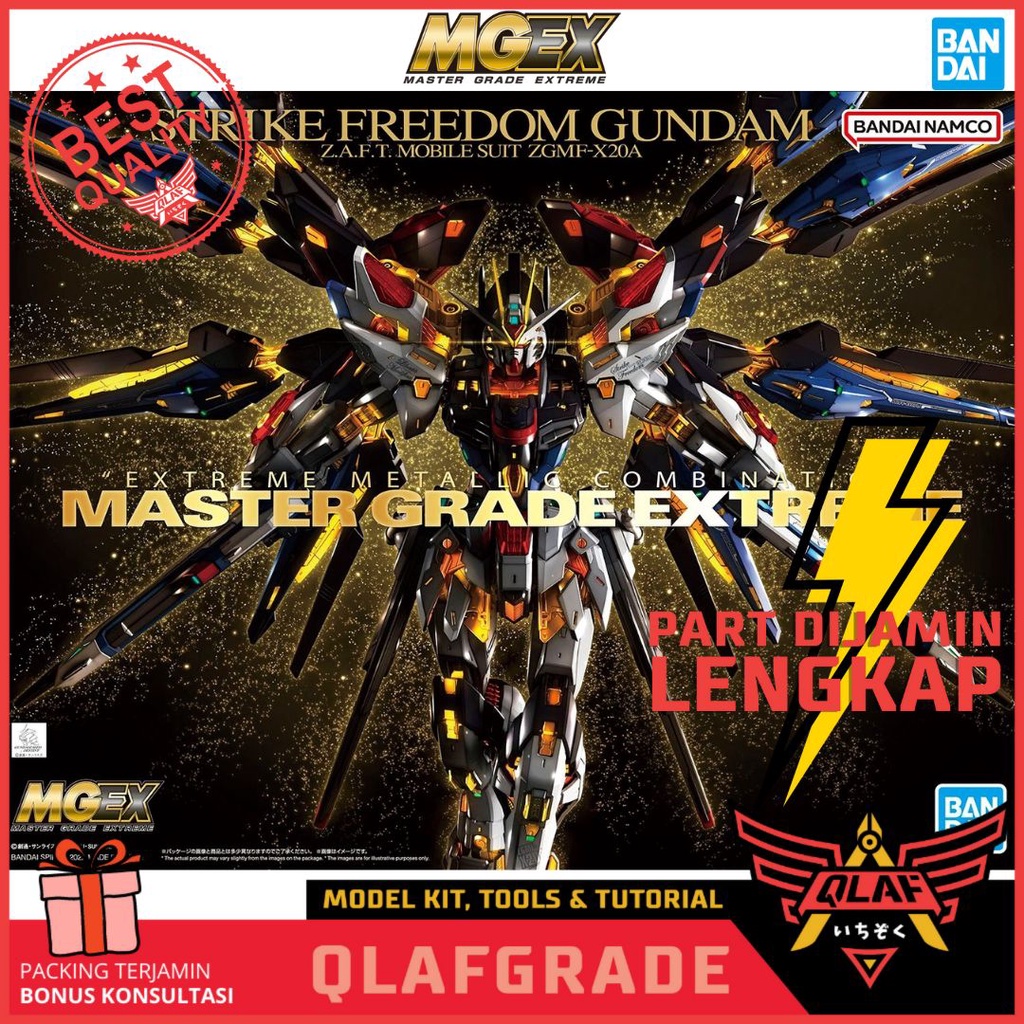 MGEX Strike Freedom Gundam Bandai 1/100 master grade MG EX