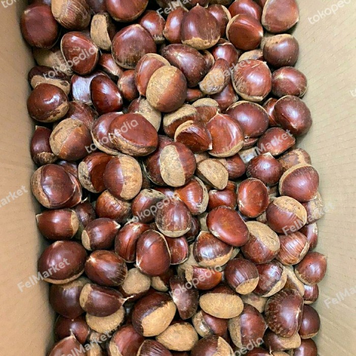 

kacang chesnut Korea | 1 kg