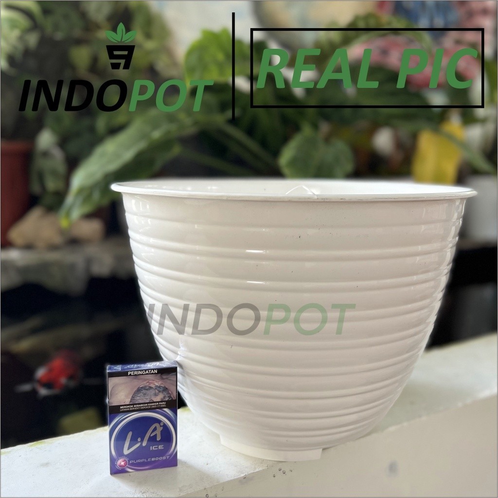 Pot GBL Honey 35 Putih Pot Tebal Jumbo Pot Bunga Besar