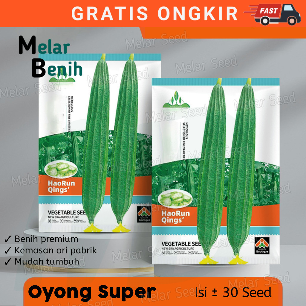 OM - BENIH OYONG SUPER BERKUALITAS KEMASAN PABRIK-BIBIT OYONG