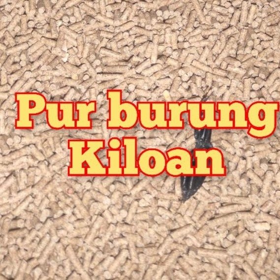 PUR BURUNG KILOAN PAKAN BURUNG WARNA COKLAT VOER JALAK BEO TRUCUK DLL - Romeesa