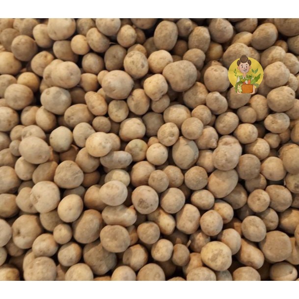 

Baby Potato / Kentang Mini 500 gram