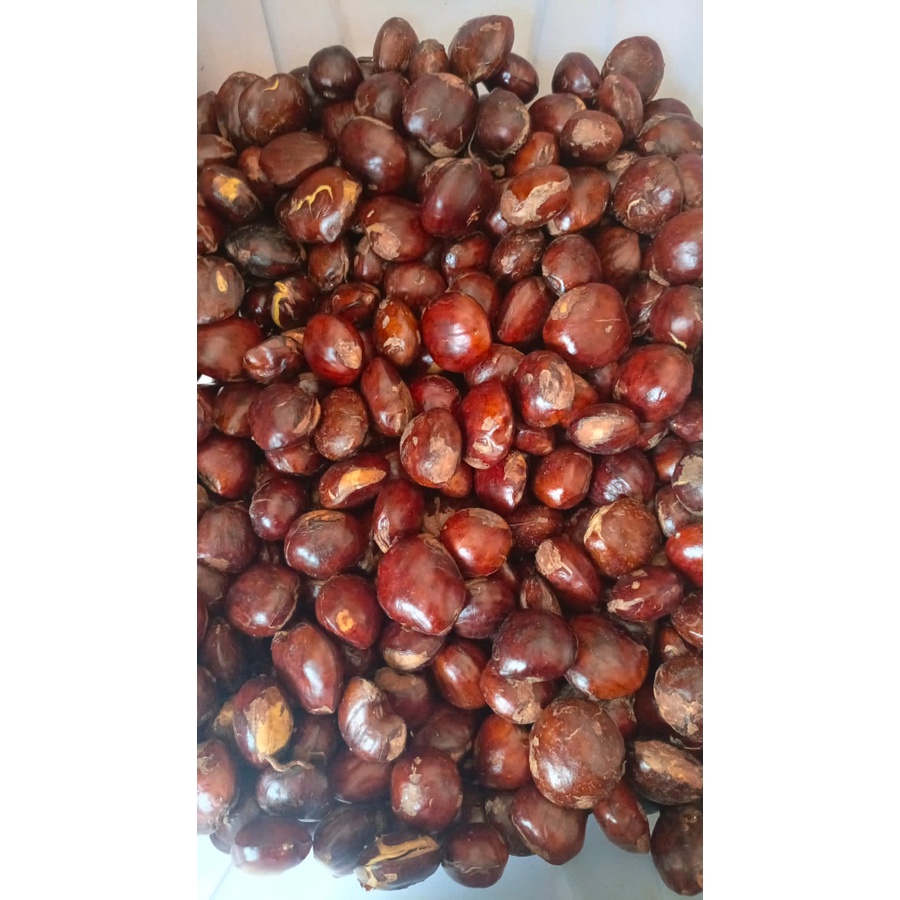 

Jengkol 500gr