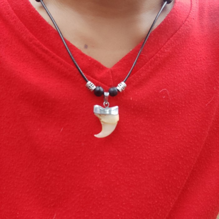 liontin stainlist kuku macan kalung tali korea