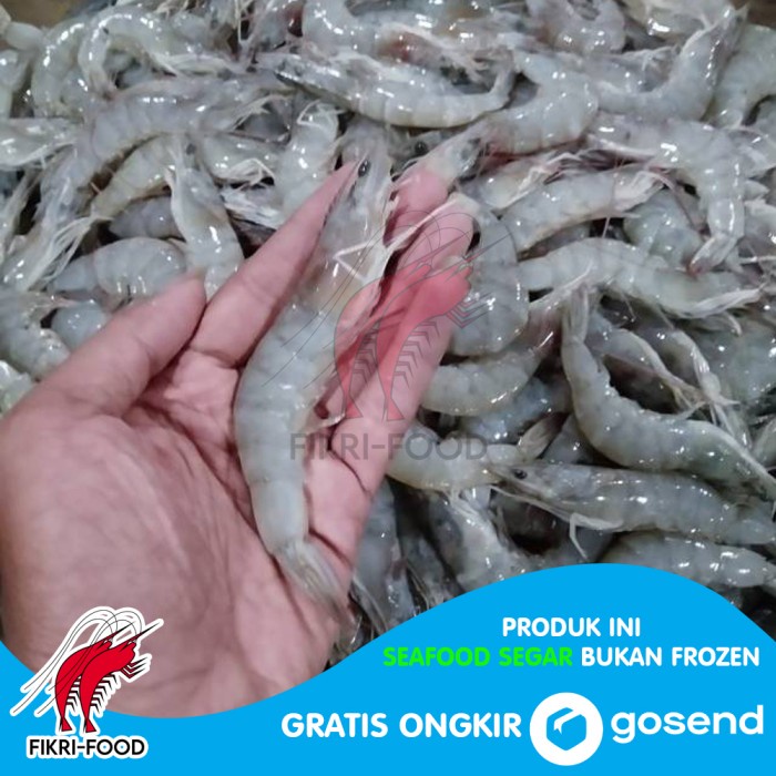 

Udang Vaname / Peci Segar size Kasar2