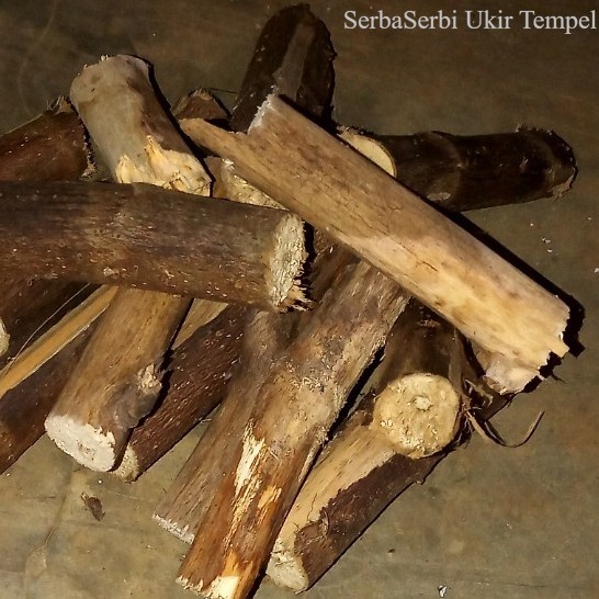 Kayu Bakar Pohon Waru Bentuk Ranting 1 Kg Termurah