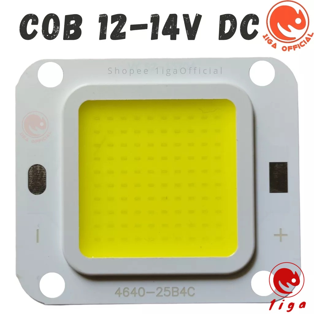 Mata Lampu LED 12V 30W 50W - COB HPL 12 Volt