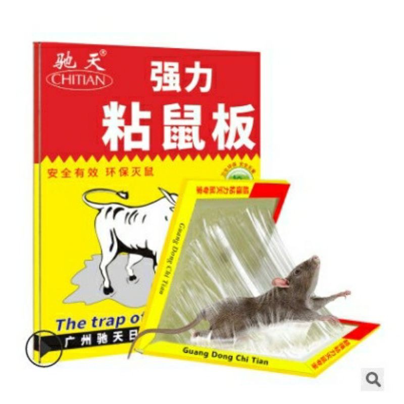 GW LEM PERANGKAP TIKUS PAPAN GAMBAR GAJAK JEBAKAN RAT STICKY MOUSE BOARD SUPER LENGKET