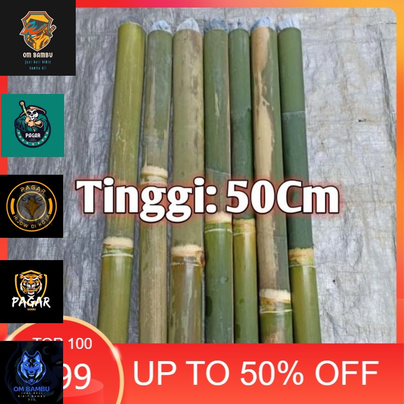 BAMBU OBOR / OBOR BAMBU / COLENG /BAMBU PENERANG / OBOR BAMBU 50 CM #OM