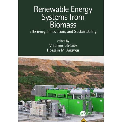 

Renewable energy systems from biomass: efficiency, innovation and