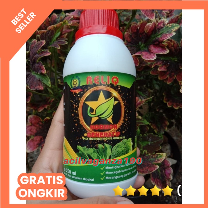 Pupuk Hormon Generatif, Pelebat Pemanis Buah-Buahan, Hormon Giberelin