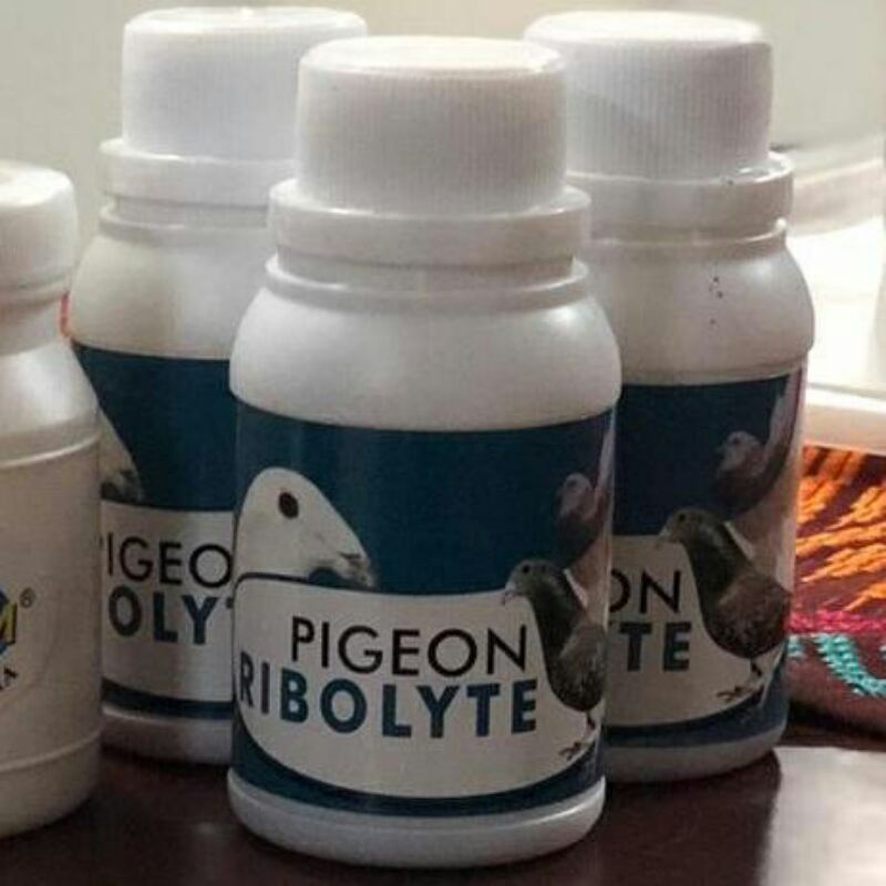 DOPING MERPATI KOLONGAN RIBOLYTE PIGEONE VETAFARM ASLI