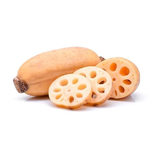 Akar Teratai Lotus Root lengau sayuran segar