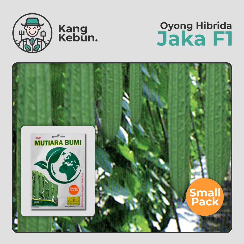 Benih Oyong Jaka F1 Small Pouch isi 20 biji Cap Mutiara Bumi