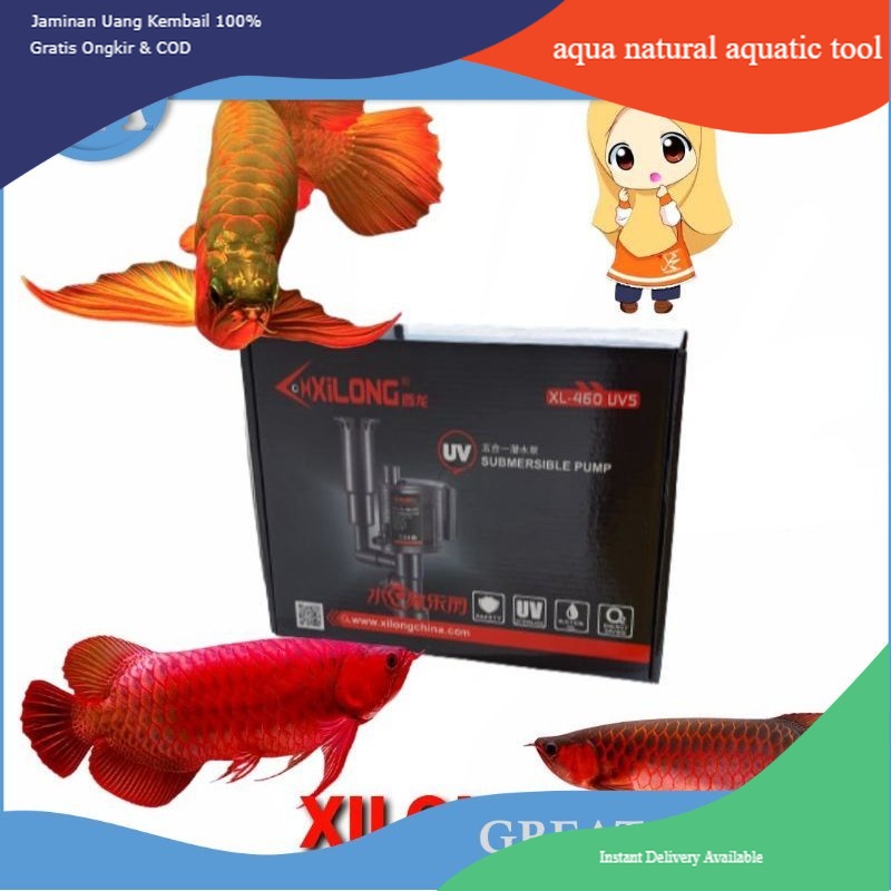 pompa celup air aquarium xilong XL 460 uv 5 watt skimmer