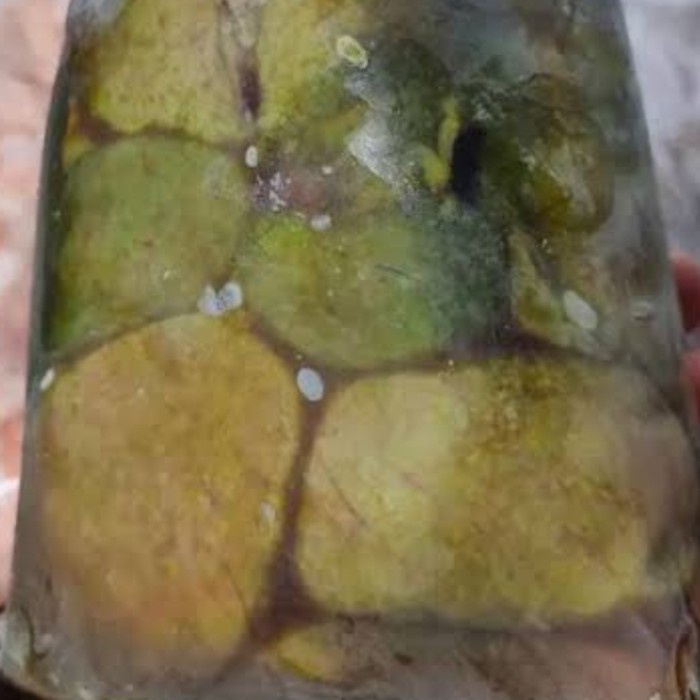 ✨LARIS✨ -umpan pancing galatama telur lele murah banget