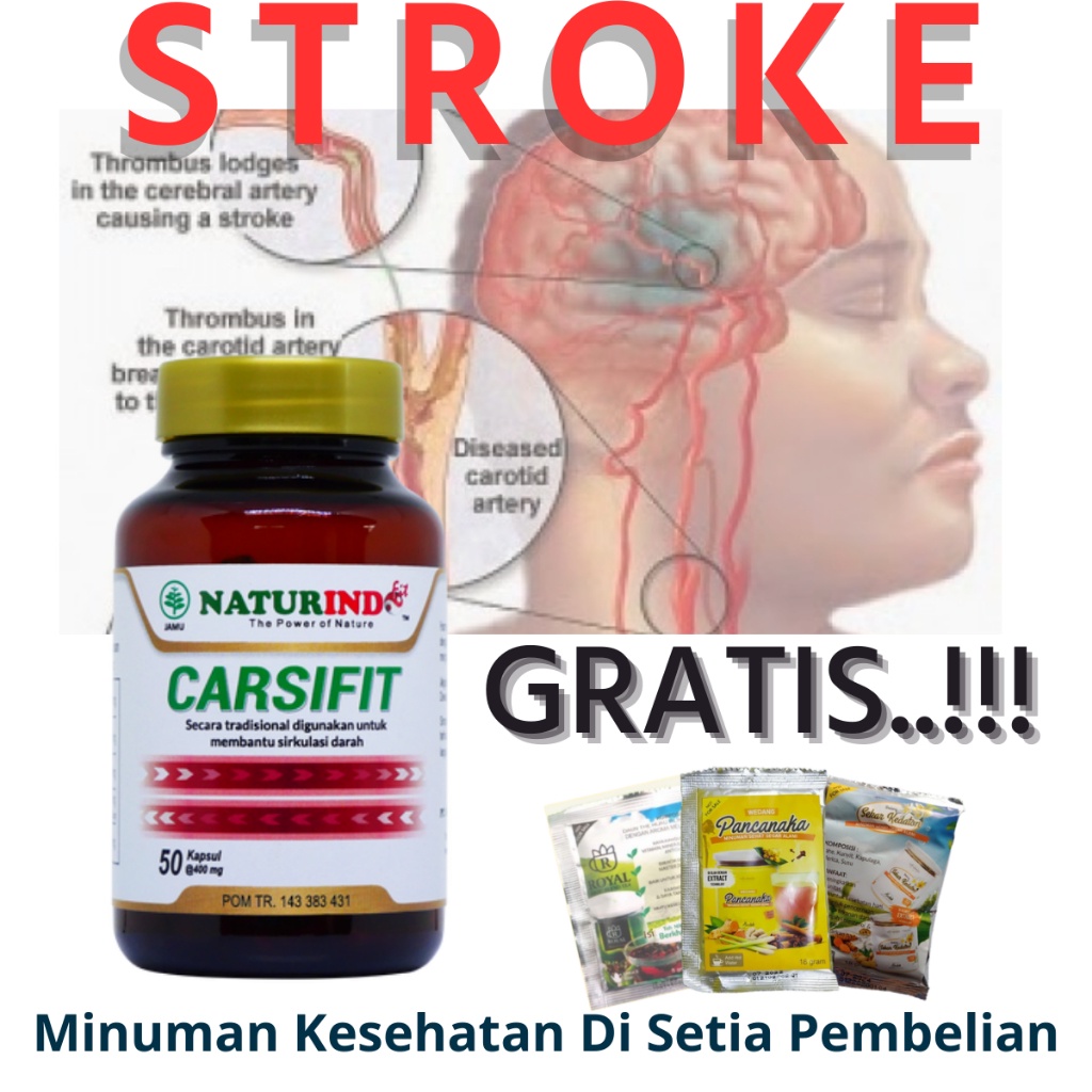 Obat Stroke Struk Berat Struk Ringan Herbal Obat Lumpuh carsifit naturindo paling ampuh