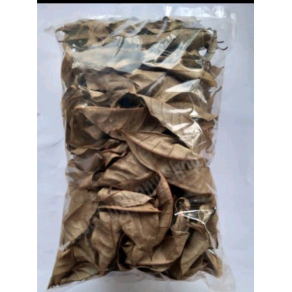 

Daun Pala Kering pilihan- Terbaik 100 Gram