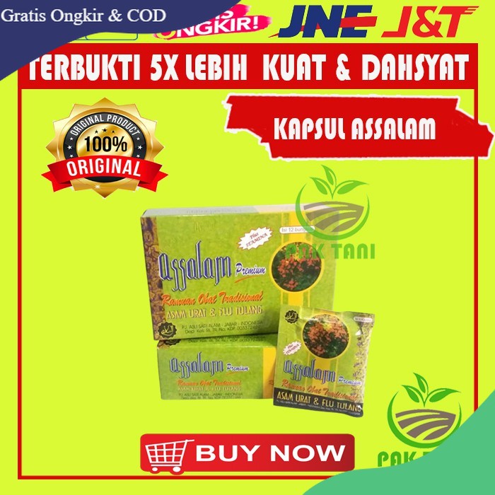 Kapsul Assalam Herbal Kesehatan Flu Tulang 1 Box