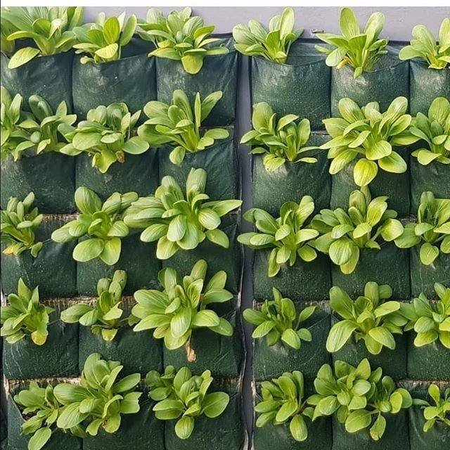 Wall Planter Kantong Tanam Vertikal Vertical Garden 15 Kantong Warna Hijau