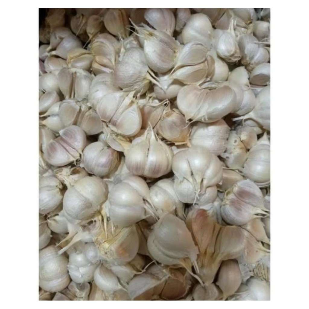 

Bawang Putih 1/2 Kg 500 Gram Bersih Fresh