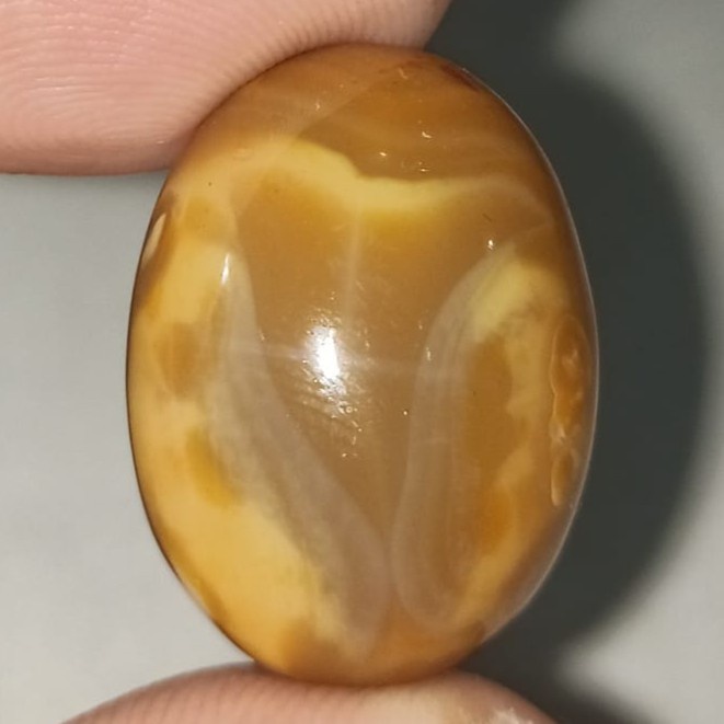 Natural Batu Akik 2460Yaman Gigi Hiu Monster Air Megalodon Unik Antik