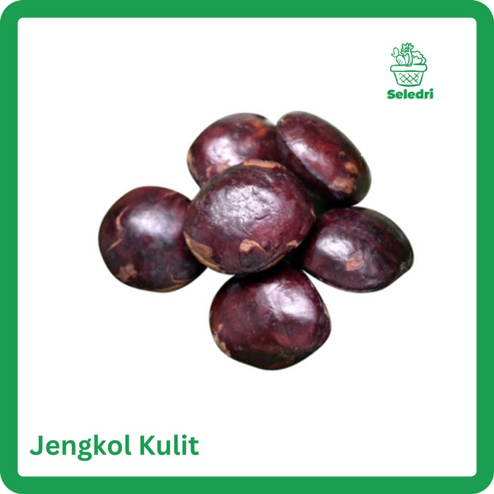

Jengkol Kulit