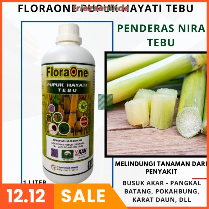 FloraOne Pupuk Pertumbuhan Tanaman Tebu, Pupuk Cair Penderas Nira Tebu